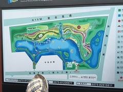 -杭州湾海上花田景区