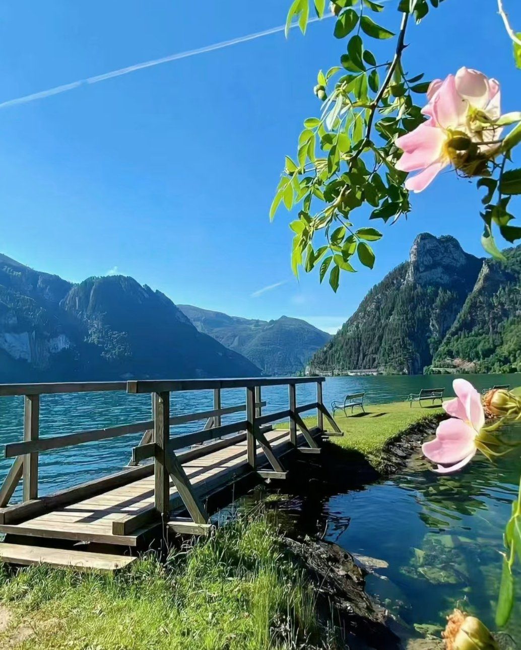 0元玩转这座城 #我拍到的治愈系风景