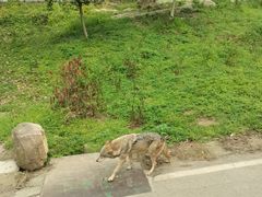 -乐和乐都动物主题乐园