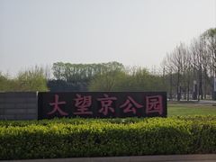 -大望京公园