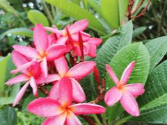 -西双版纳融创皇冠假日度假酒店