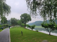 -月湖风景区