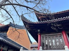 -灵谷景区