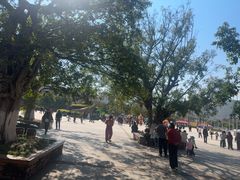 -世界恐龙谷景区
