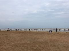 -渡海小渔村.老辈日照菜