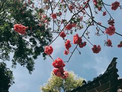 -大理文庙(大理古城)