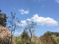 -广州市流溪河国家森林公园