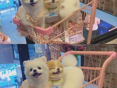 -百好乐宠物友好餐厅(朝外大街店)