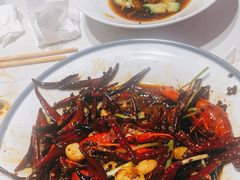 -杨氏青龙虾·羊蝎子(托乐嘉店)