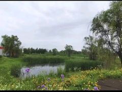 -嬉子湖生态旅游区