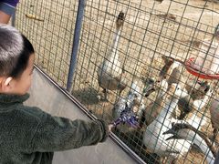 -田趣农庄草莓采摘园