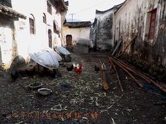 -祁门牯牛降观音堂风景区