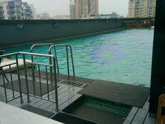 -威蒂斯国际健身游泳会所(东莞庄路店)