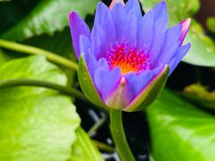 -交通银行前滩31演艺中心