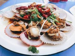 油泼扇贝-1903青岛老味道·青岛菜(栈桥店)