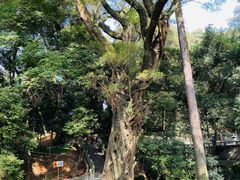 -南华禅寺