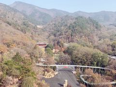 -木兰云雾山