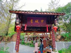 -青城甲(青城山店)