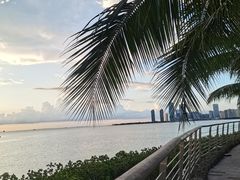 -万绿园