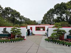 -南山植物园