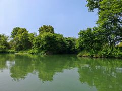 -西溪国家湿地公园