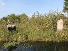 -溱湖国家湿地公园