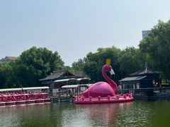 -莲花池公园