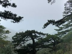-罗田薄刀峰风景区
