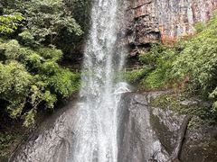-龙苍沟森林公园