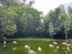-广州动物园