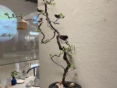 -翡翠江南(国贸商城店)