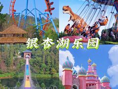 -南京银杏湖乐园