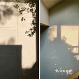优雅的生活