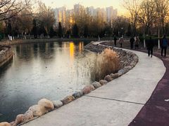 -绿岛公园(滨海新区)