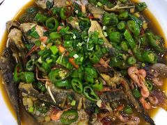 -全乐鱼馆·淳牌有机鱼直营店