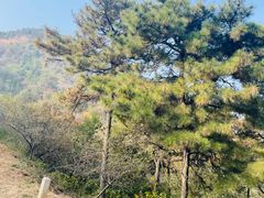 -北京西山国家森林公园