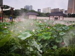 -龙环葡韵住宅式博物馆