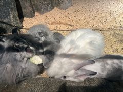 -正佳雨林生态植物园