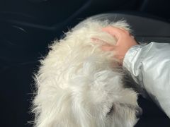 -宠颐生动物医院·小陆分院