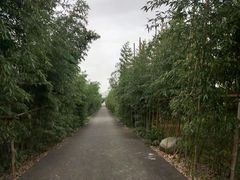 -武汉紫薇都市田园