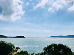 -上海市保健医疗中心(华东疗养院)