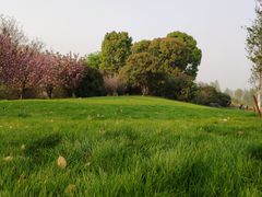 -云幽谷旅游区