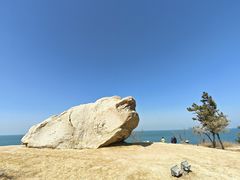 -养马岛旅游度假区