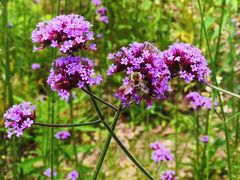 -杭州城北体育公园