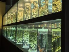 -广东中医药博物馆