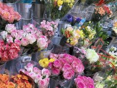 -岁宝Shirble plaza(景田店)