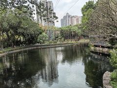 -晓港公园