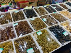 水产区-布尔津河堤夜市