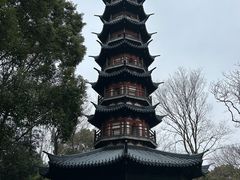 -上海佘山国家森林公园西佘山园