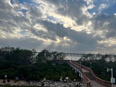 -宝安西湾红树林湿地公园